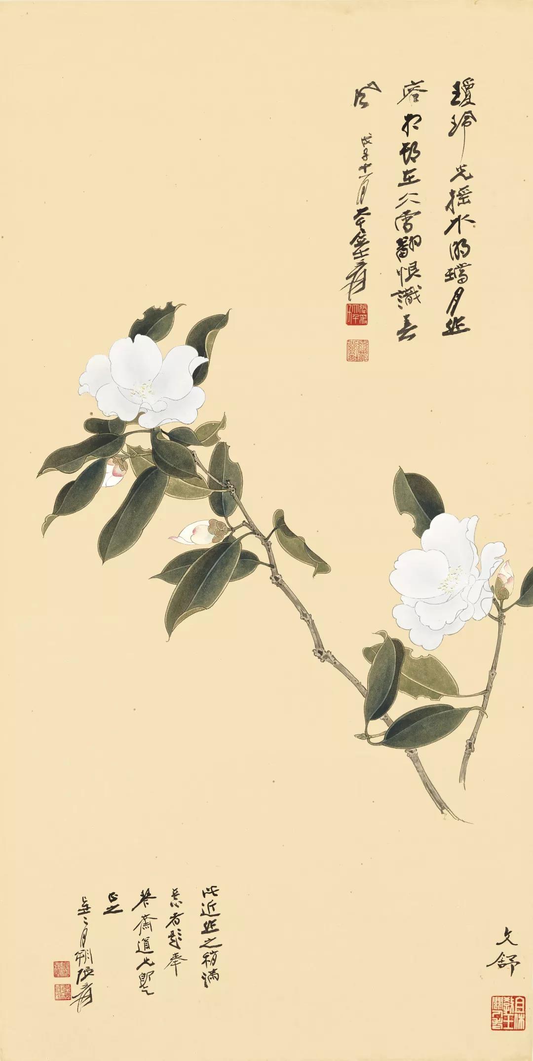 此幅《白茶花》作于1948年,正值画家工笔技法大盛之时,用笔勾划皆细腻