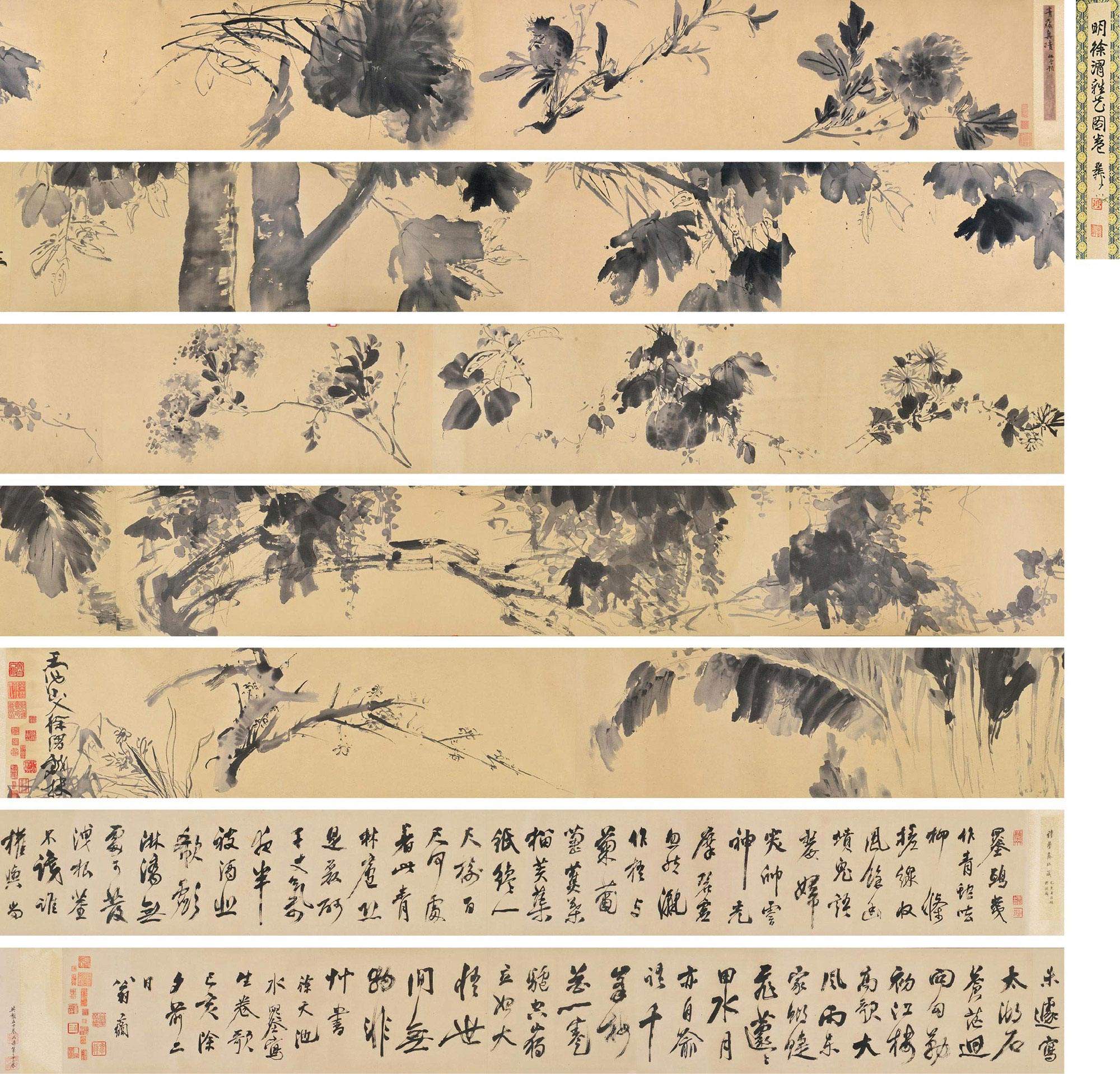 明 徐渭《杂花图卷》纵37厘米,横1049厘米 南京博物院藏
