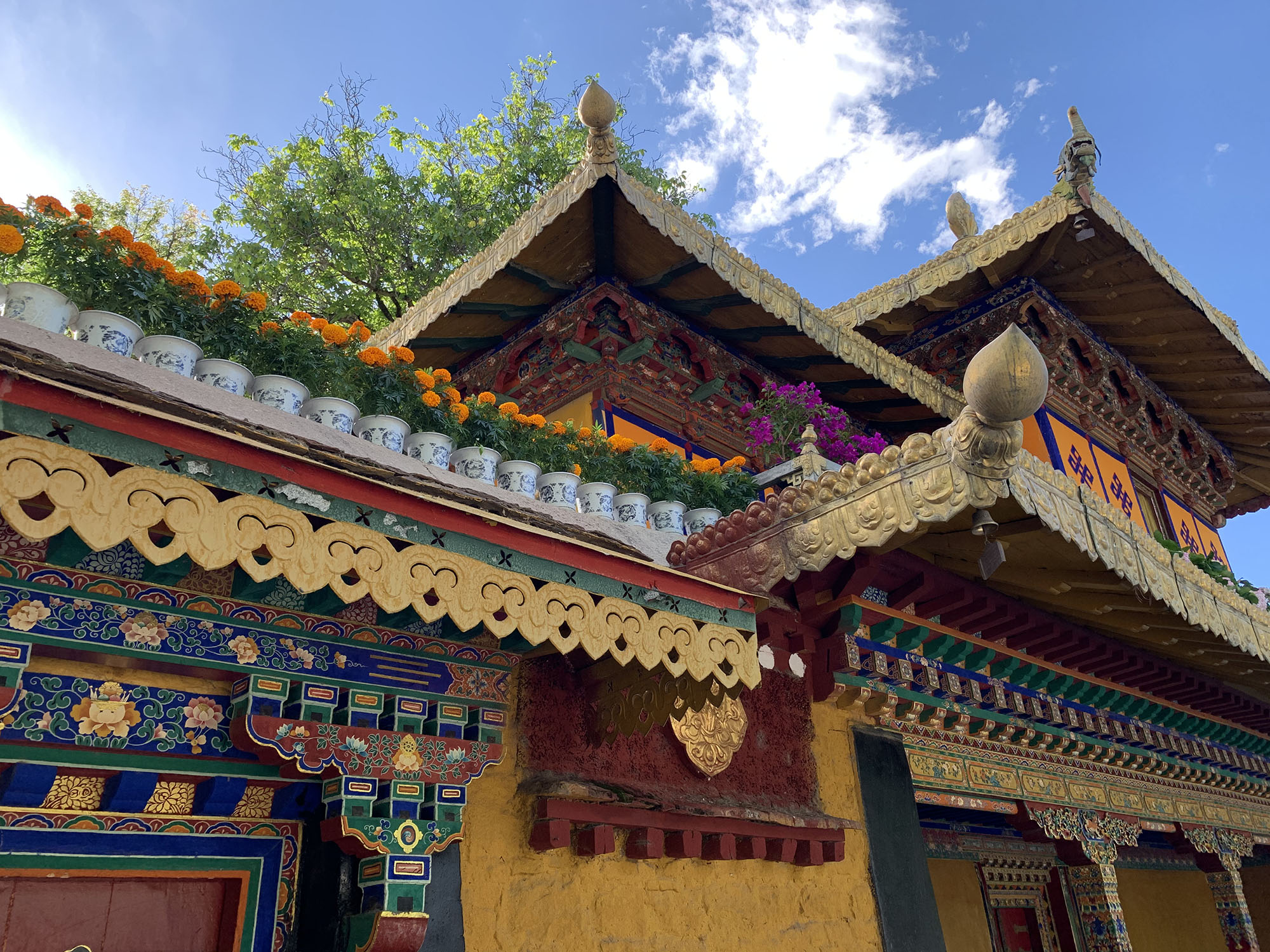 不用远去西藏，也能在杭州感受藏族特色节日雪顿节|节日|九寨|藏戏_新浪新闻