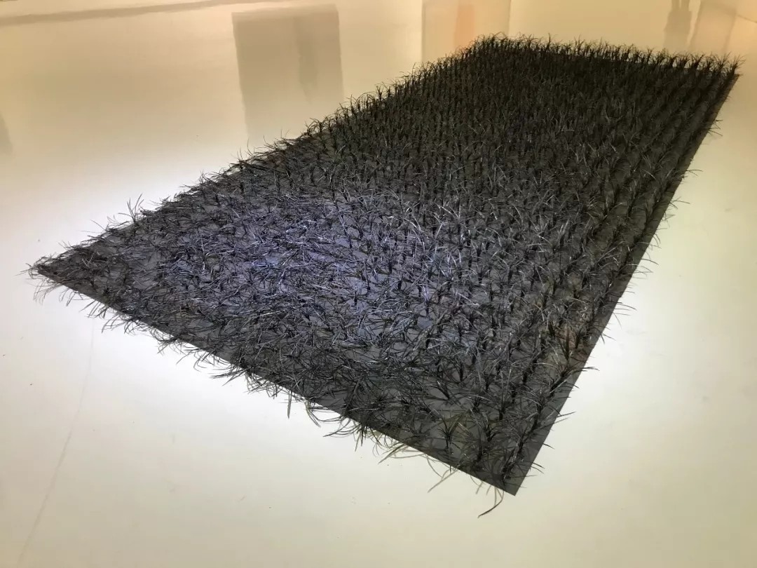 谭勋《铁草》铁丝 480×270cm 2019年