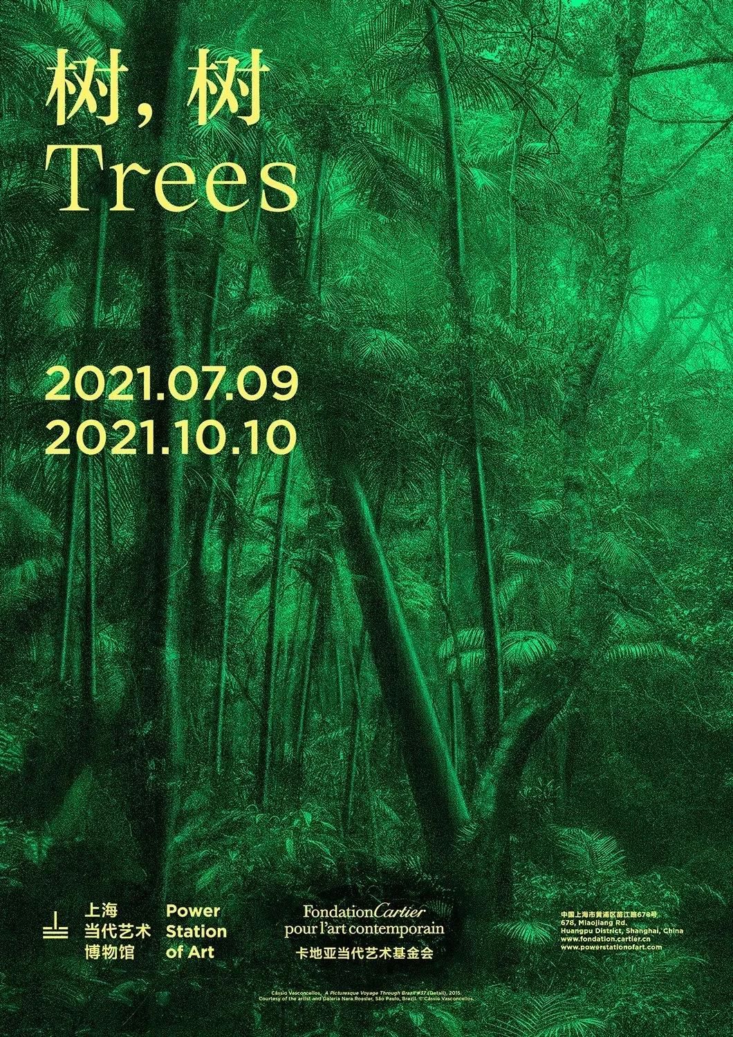“树，树” Trees