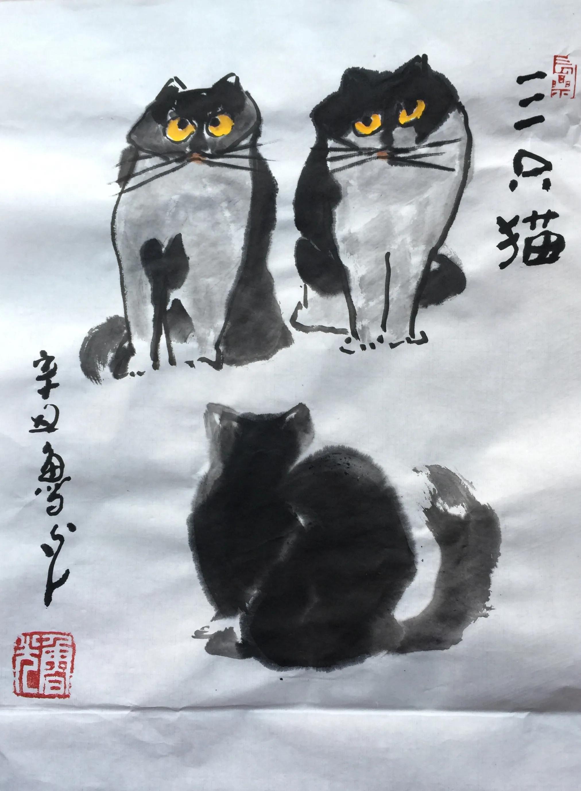 鲁光我画猫