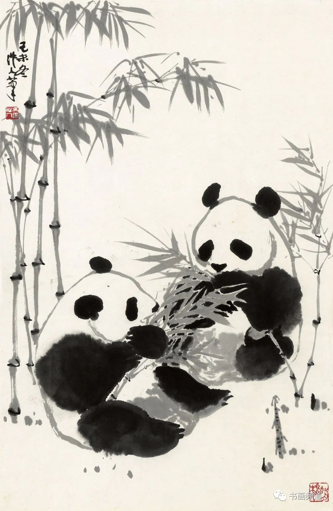 憨态可掬！动画《我从中国来之熊猫泰山》主形象将亮相迪拜世博会_文化