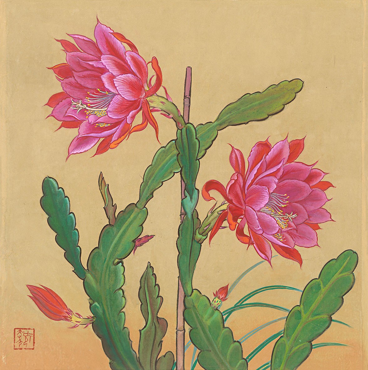 令箭荷花,纸本设色,395×395cm,1980年代牡丹,钢笔赋彩,39