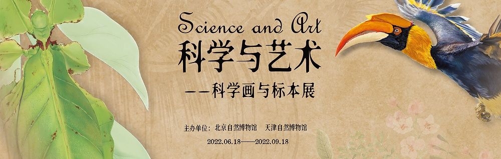 科学与艺术：科学画与生物标本展