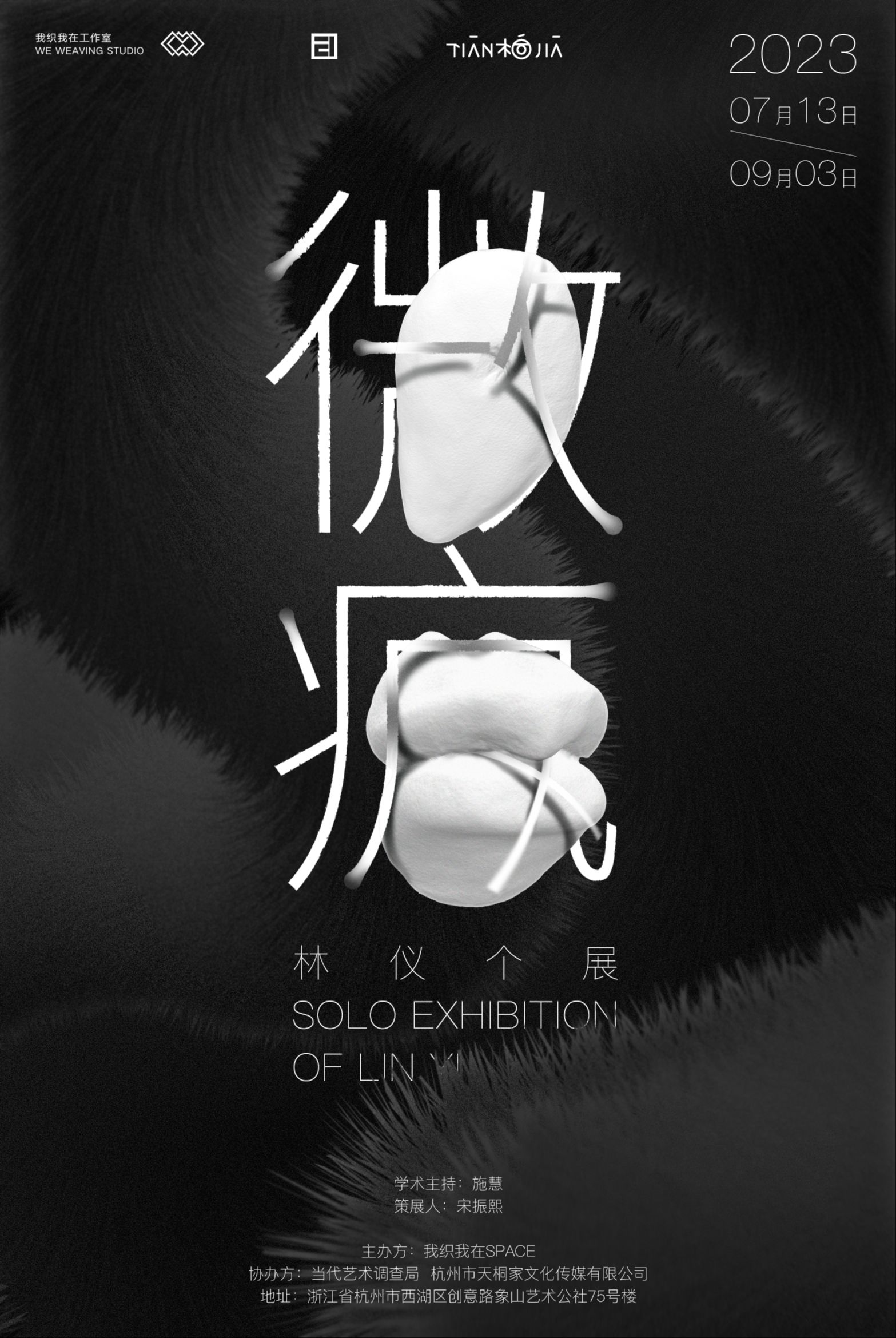 ”微疯“林仪个展